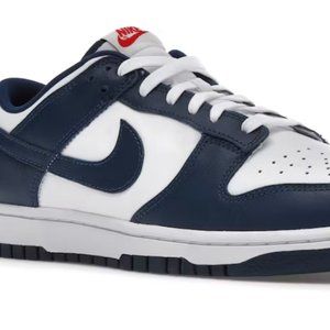 Nike Dunk Low Shoes in Valerian Blue, Size 12 (NWT)